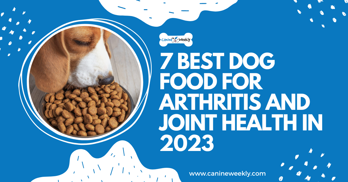 7 Best Dog Food for Arthritis and Joint Health in 2023