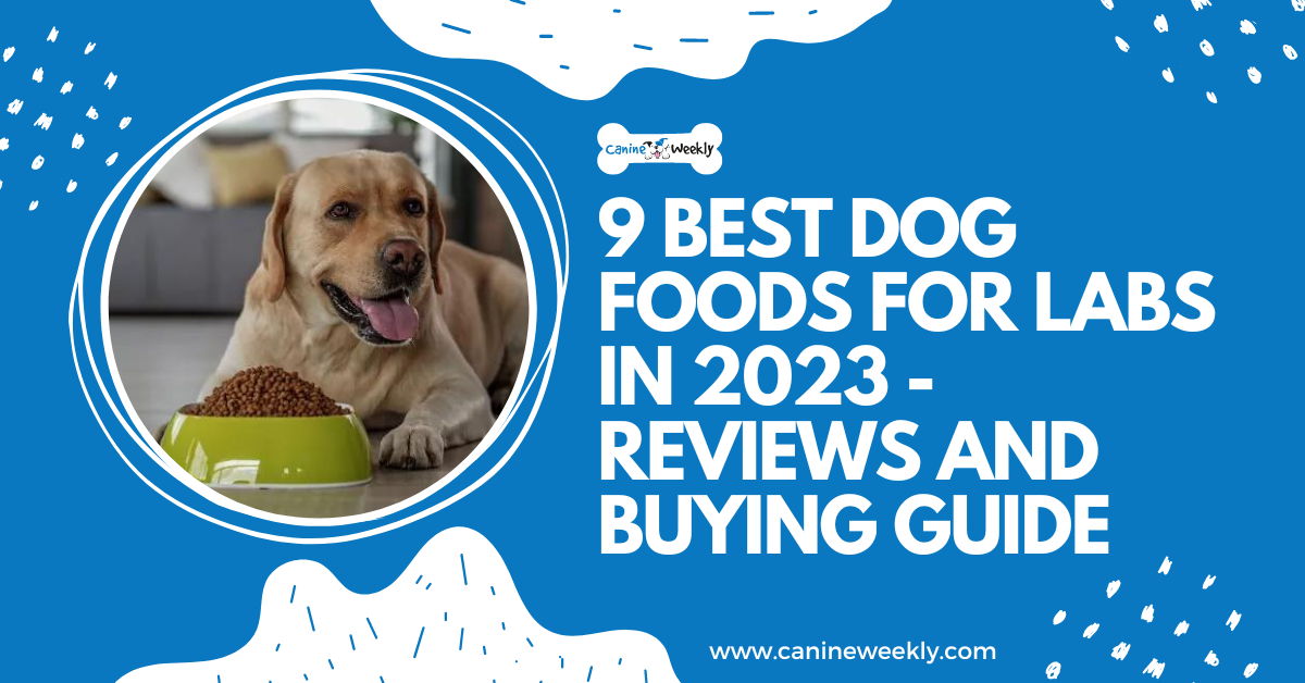 9 Best Dog Food for Labs in 2024 Reviews and Buying Guide