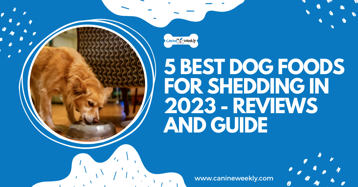 what dog food is best for shedding