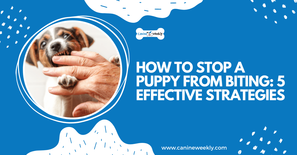 How to Stop a Puppy From Biting: 8 Helpful Strategies | Canine Weekly