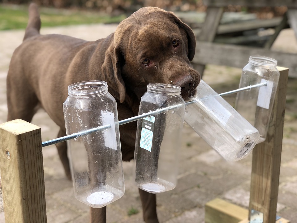 Drinking Water Too Quickly