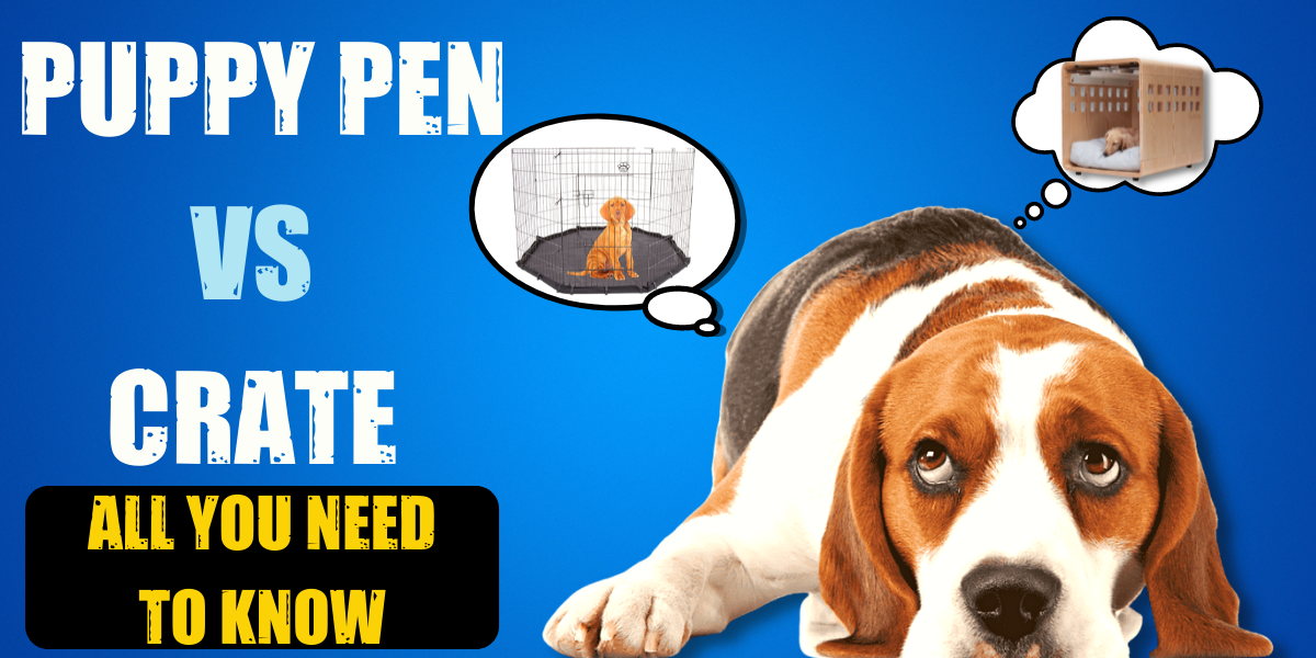Puppy Pen vs. Crate All You Need to Know Story Telling Co