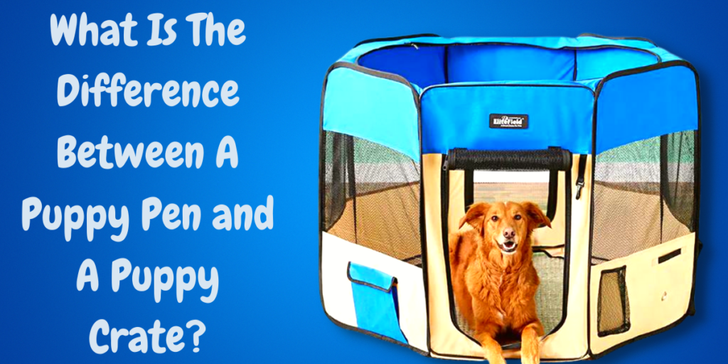 What Is The Difference Between A Puppy Pen and A Puppy Crate?