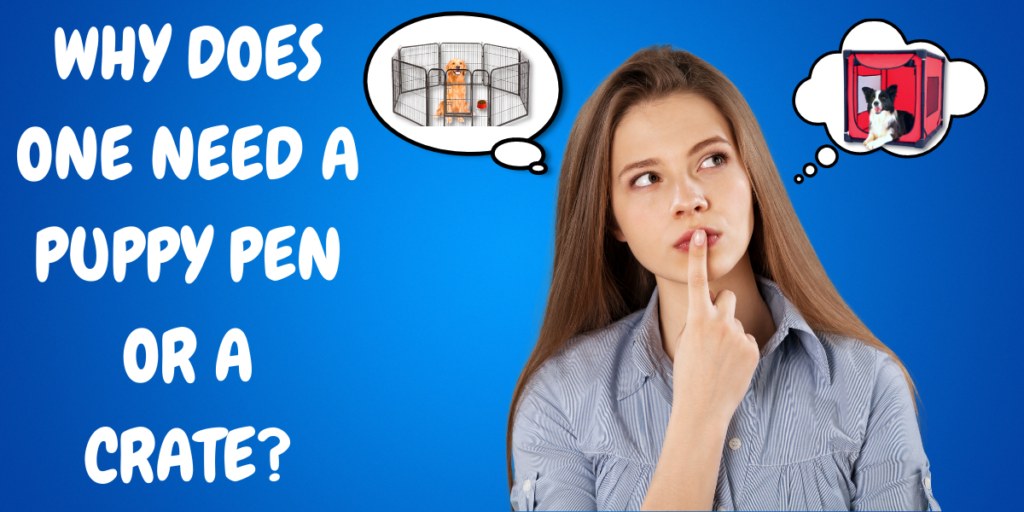 Why Does One Need A Puppy Pen or A Crate?