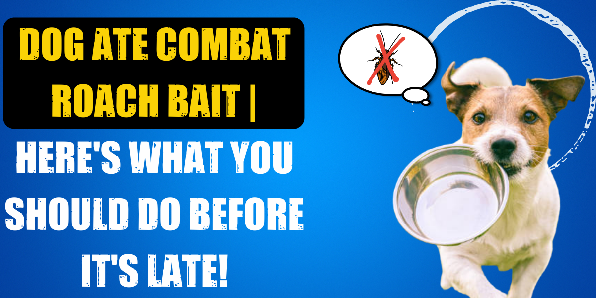 Dog eats combat cockroach bait Story Telling Co