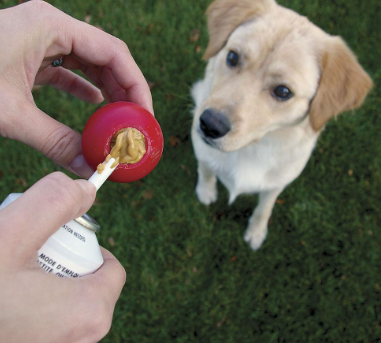 Giving KONG Stuff'n Easy Treat, 8 oz, Set of 2, Puppy to give my dog to Eat