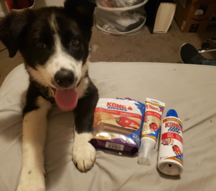 My Dog Love to Chew KONG - Dog Treat Combo