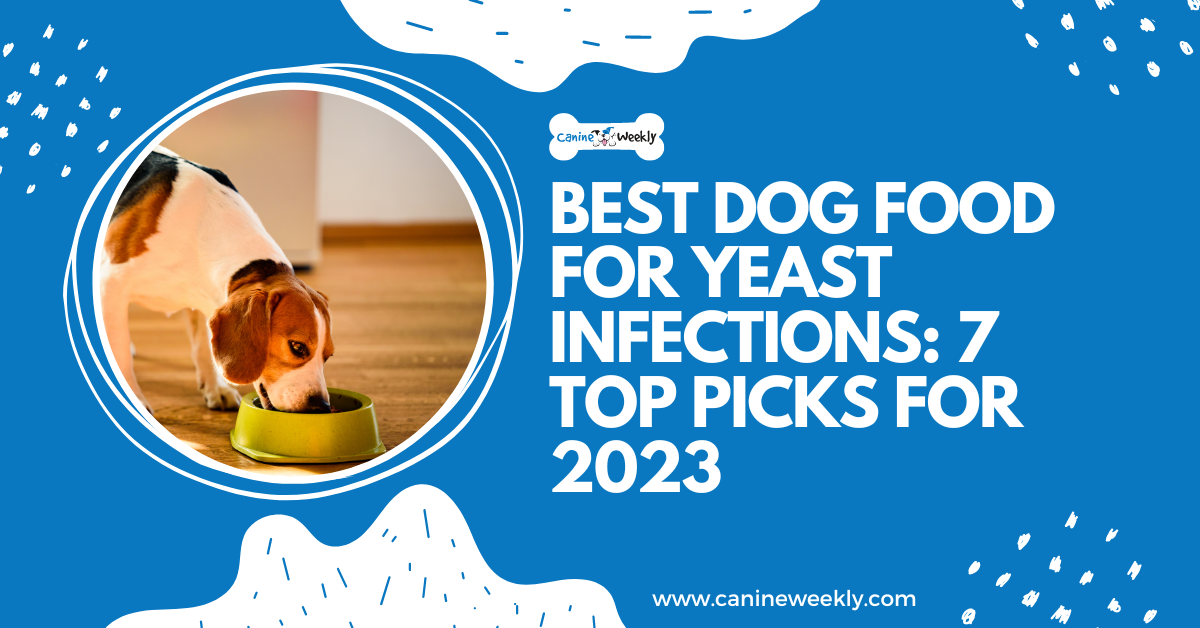 Best Dog Food for Yeast Infections 7 Top Picks for 2023