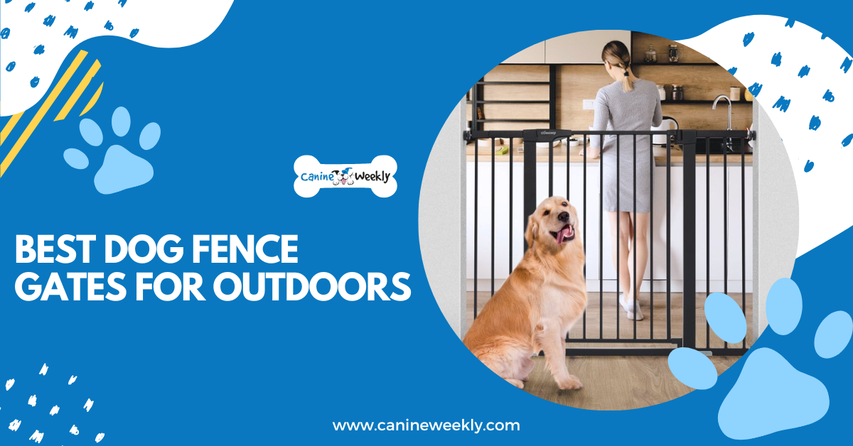 10 Best Dog Fence Gates for Outdoors