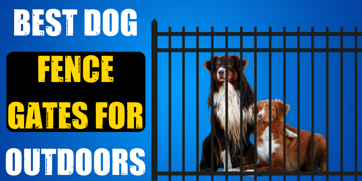 10 Best Dog Fence Gates for Outdoors