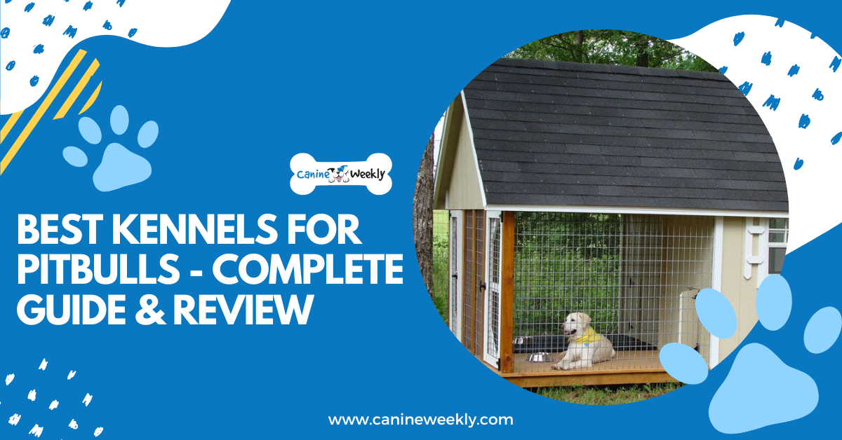 6 Best Kennels for Pitbulls Complete Guide & Review