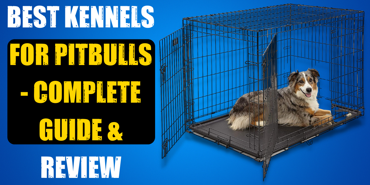 best dog kennel for pitbull