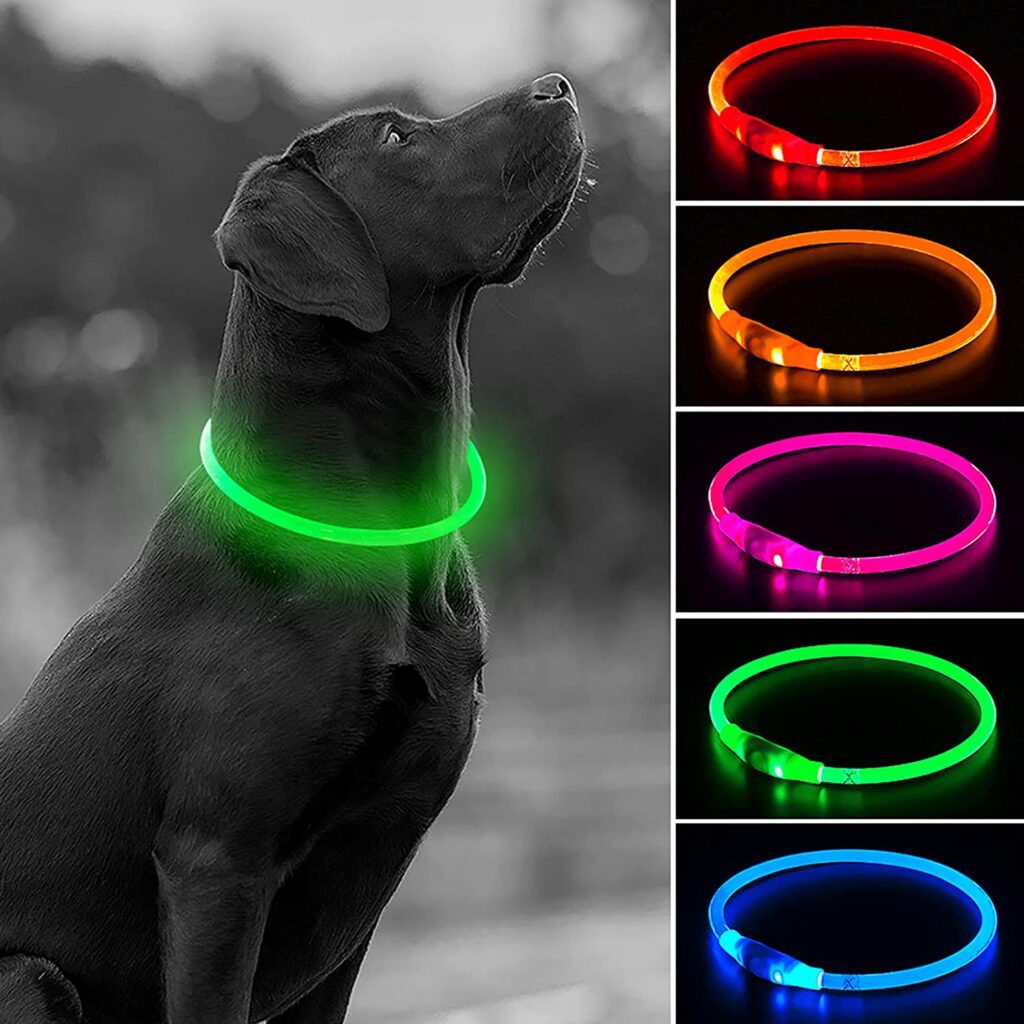 HIGO USB Rechargeable LED Dog Collar