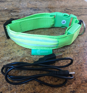 ILLUMISEEN LED Dog Collar USB Rechargeable Review