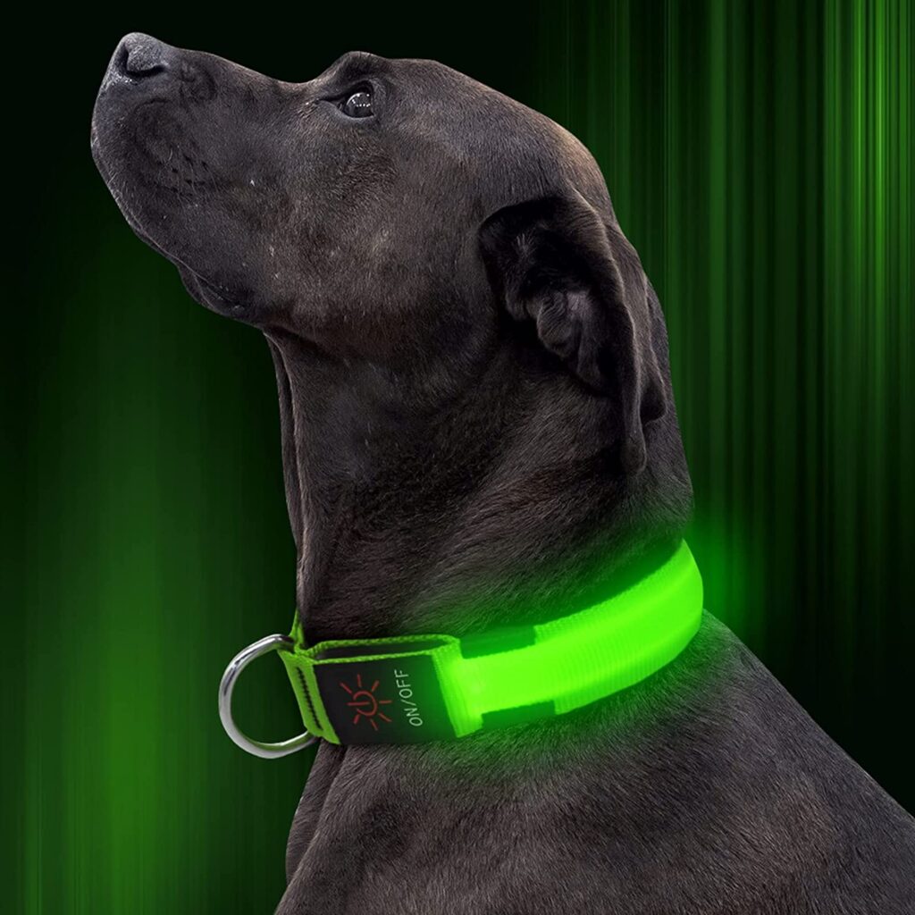 Illumifun LED Dog Collar, Nylon Adjustable Light Up Collar