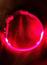 Illumifun LED Dog Collar, Nylon Adjustable Light Up Collar Review