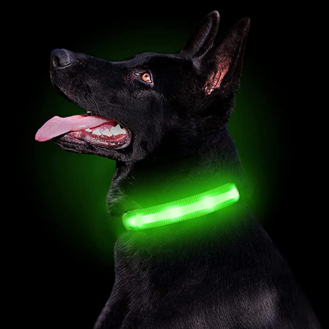 PetIsay Waterproof LED Dog Collar