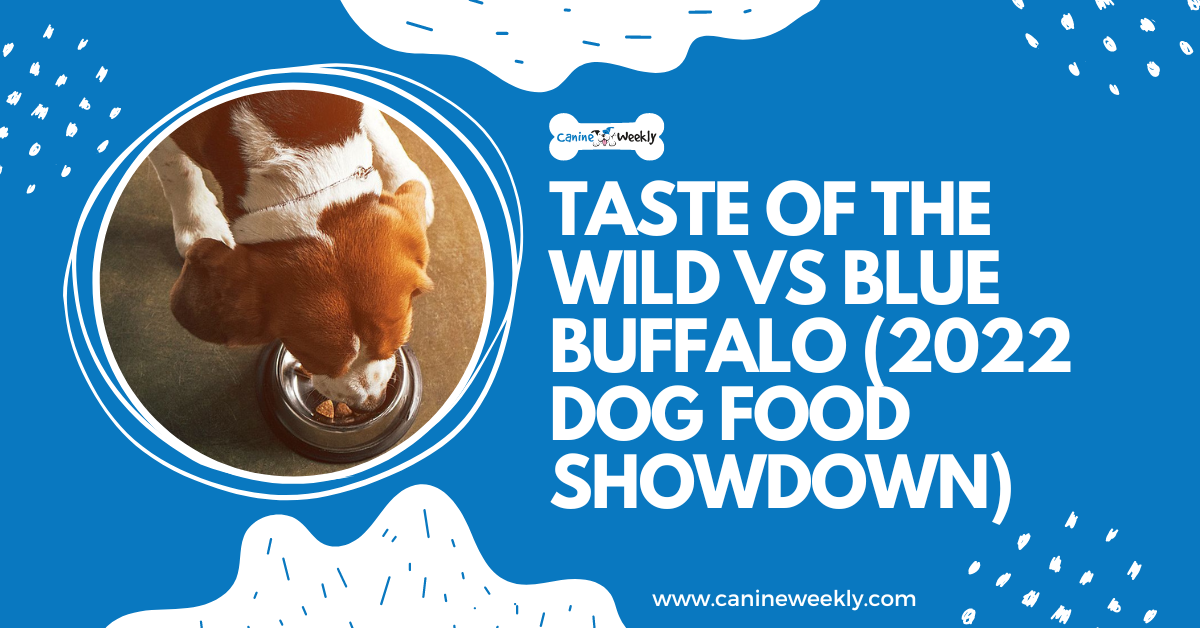 Taste of the Wild vs. Blue Buffalo - Which One is Best?