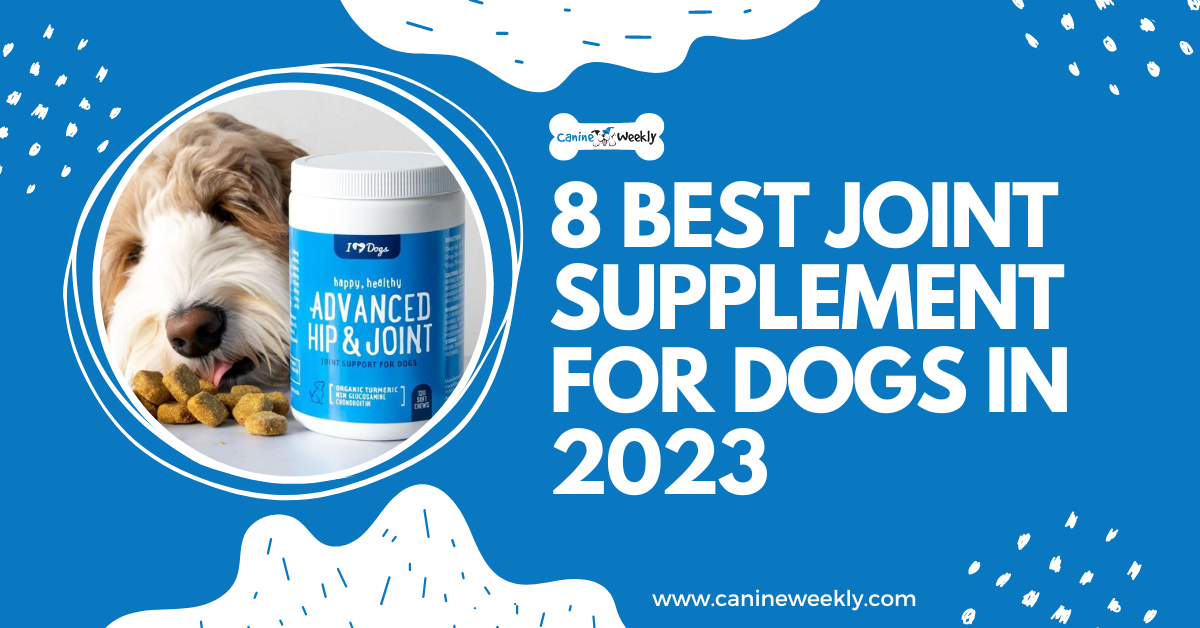 8 Best Joint Supplements for Dogs in 2023 Canine Weekly
