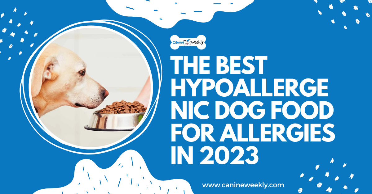 7 Best Hypoallergenic Dog Food for Allergies 2023 Canine Weekly