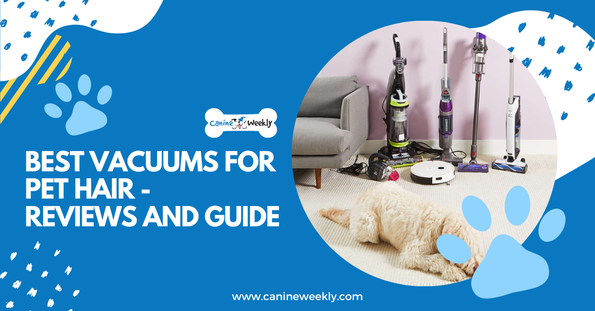7 Best Vacuums for Pet Hair in 2023 Reviews and Guide