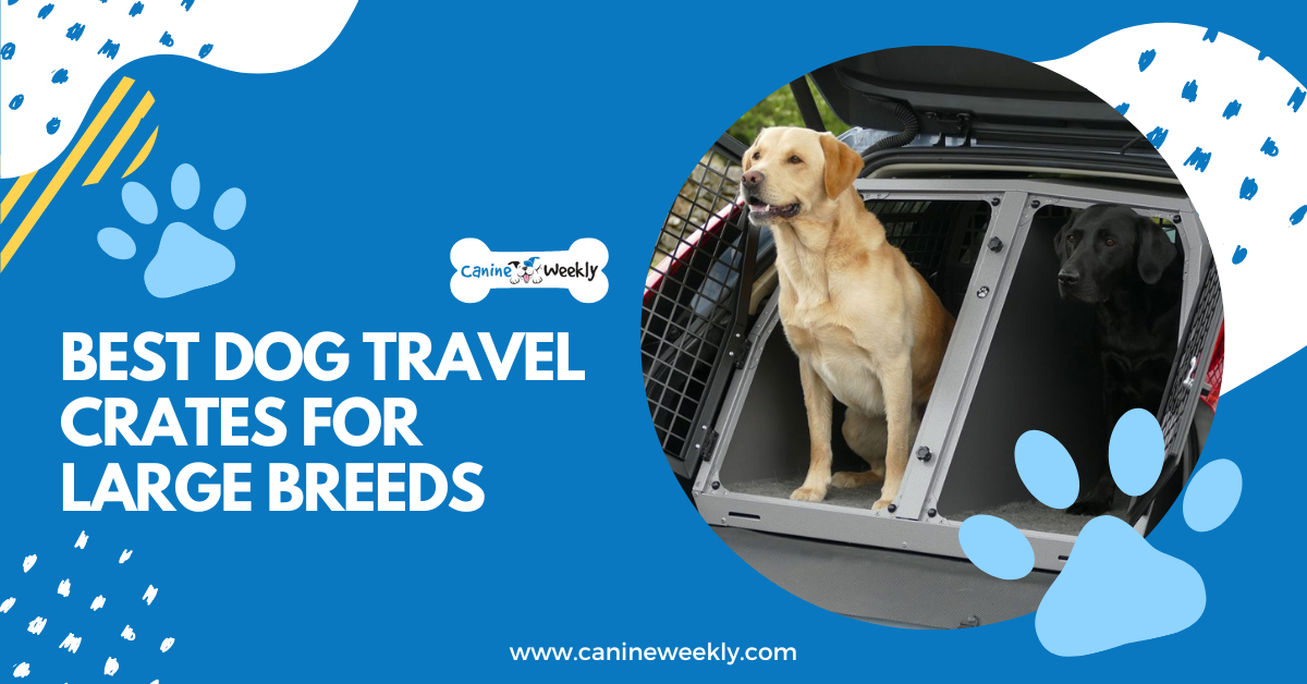 5 Best Dog Travel Crates for Large Breeds in 2023