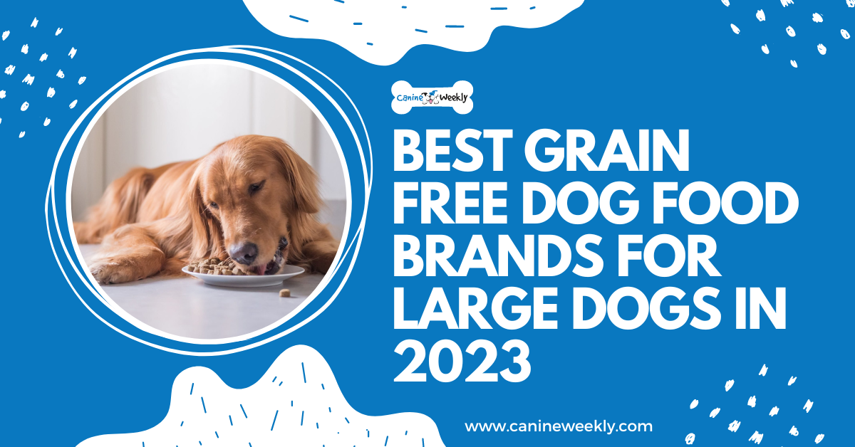 Best Grain Free Dog Food Brands for Large Dogs in 2023