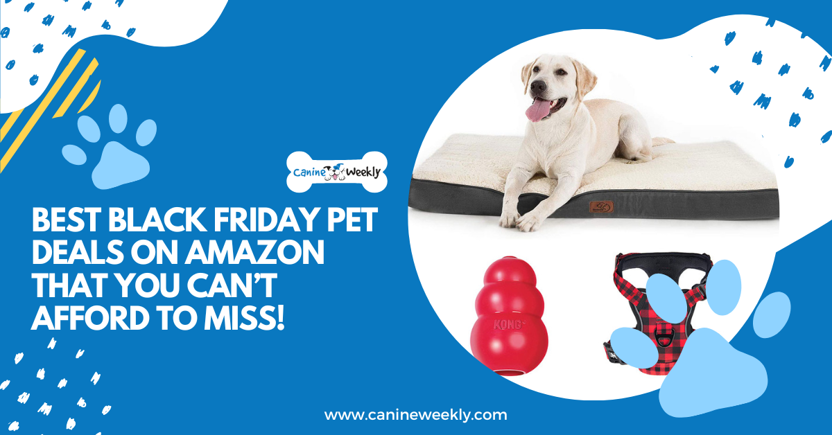 17 Best Black Friday Pet Deals on Amazon {You can't Miss}
