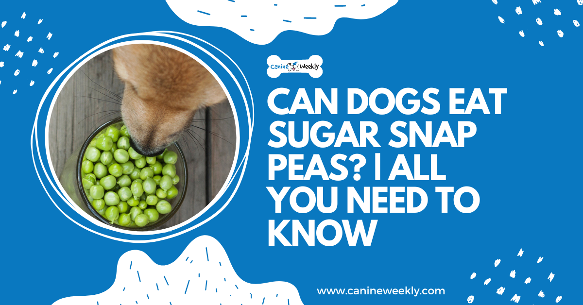 can dogs eat snow peas