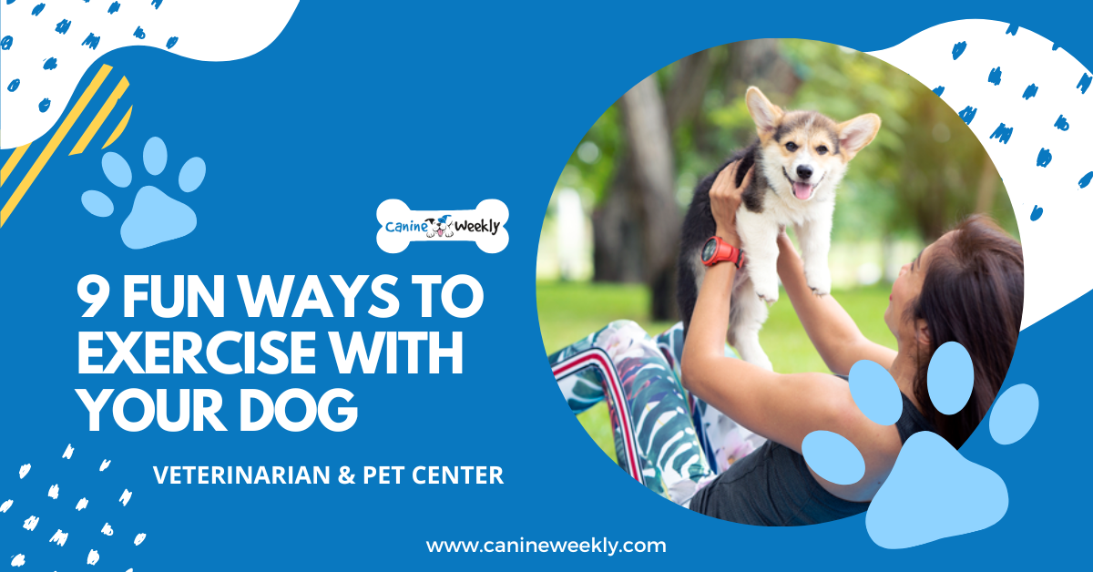 The 9 Best Ways to Exercise With Your Dog