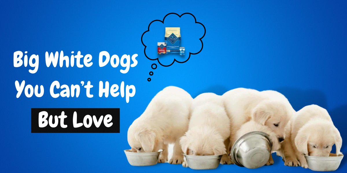 10 Best Large Breed Puppy Food Picks of 2023 Canine Weekly