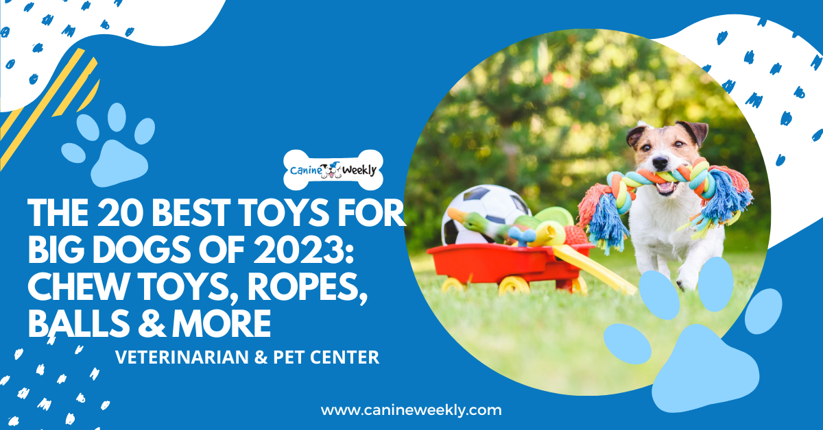 https://canineweekly.com/wp-content/uploads/2023/01/best-toys-for-big-dogs-1.png
