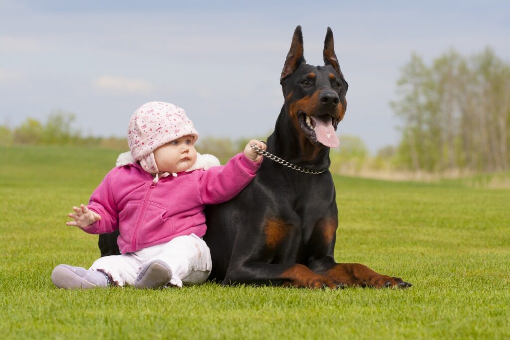 Children and other pets