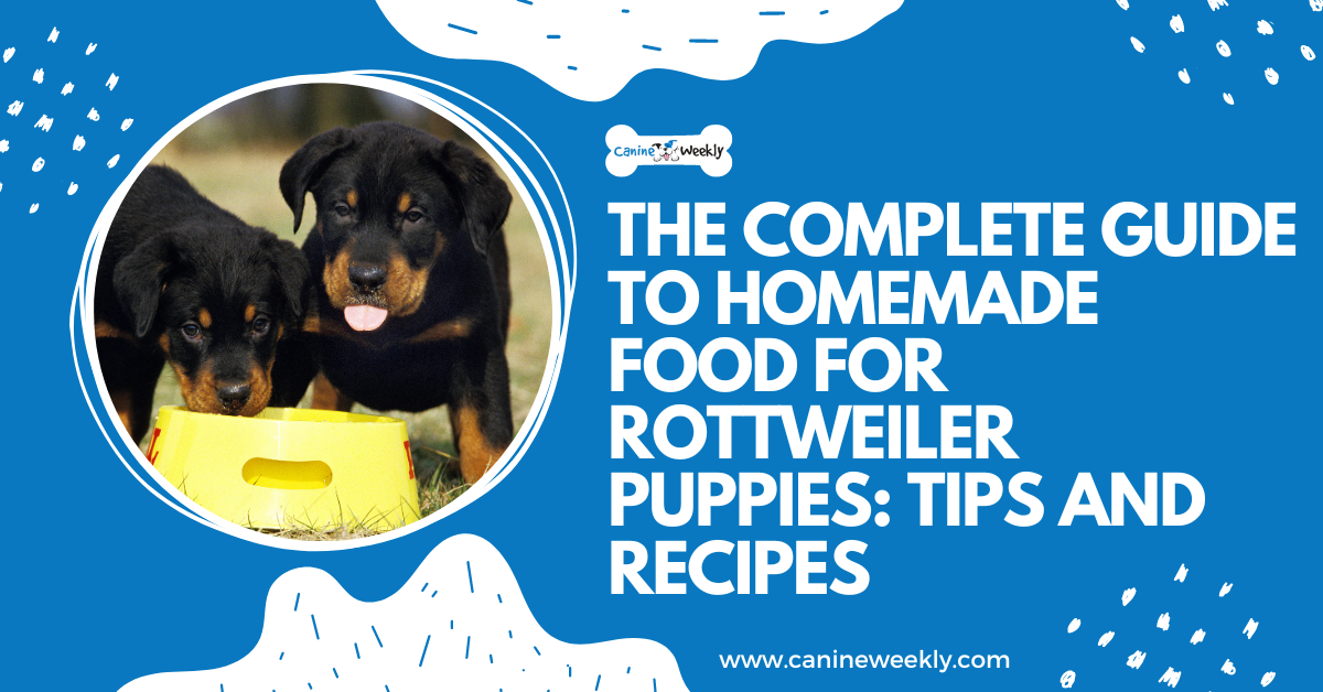 Home cooked food for rottweilers sale