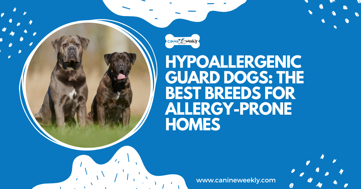 Hypoallergenic guard online dogs