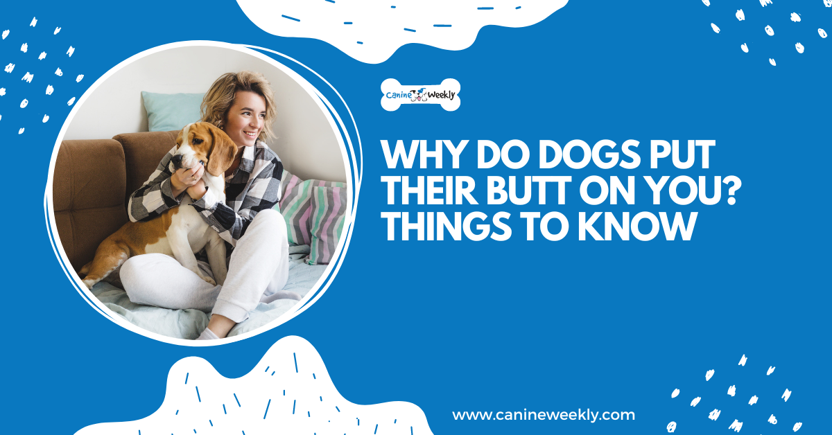 Why Do Dogs Put Their Butt on You? 7 Things to Know