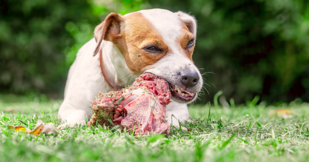 Eating toxic things
