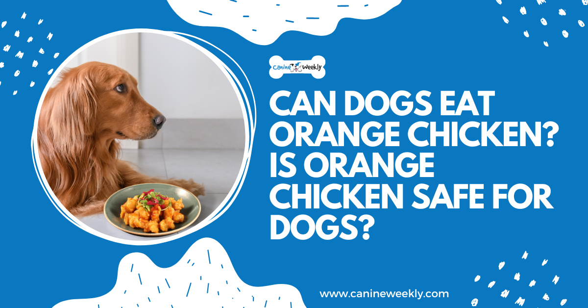 Can Dogs Eat Orange Chicken Is Orange Chicken Safe for Dogs?