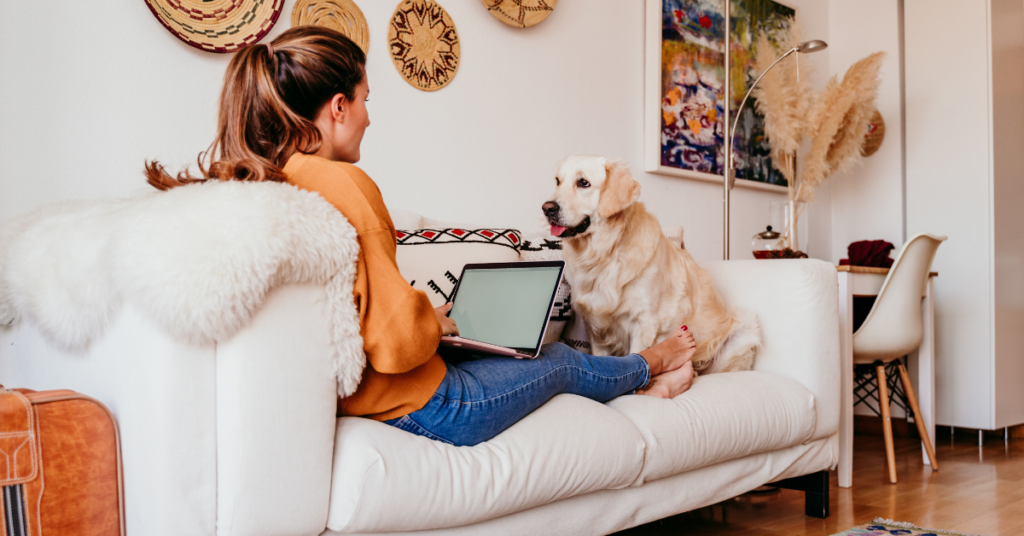 Keep a Close Watch on Your Dog