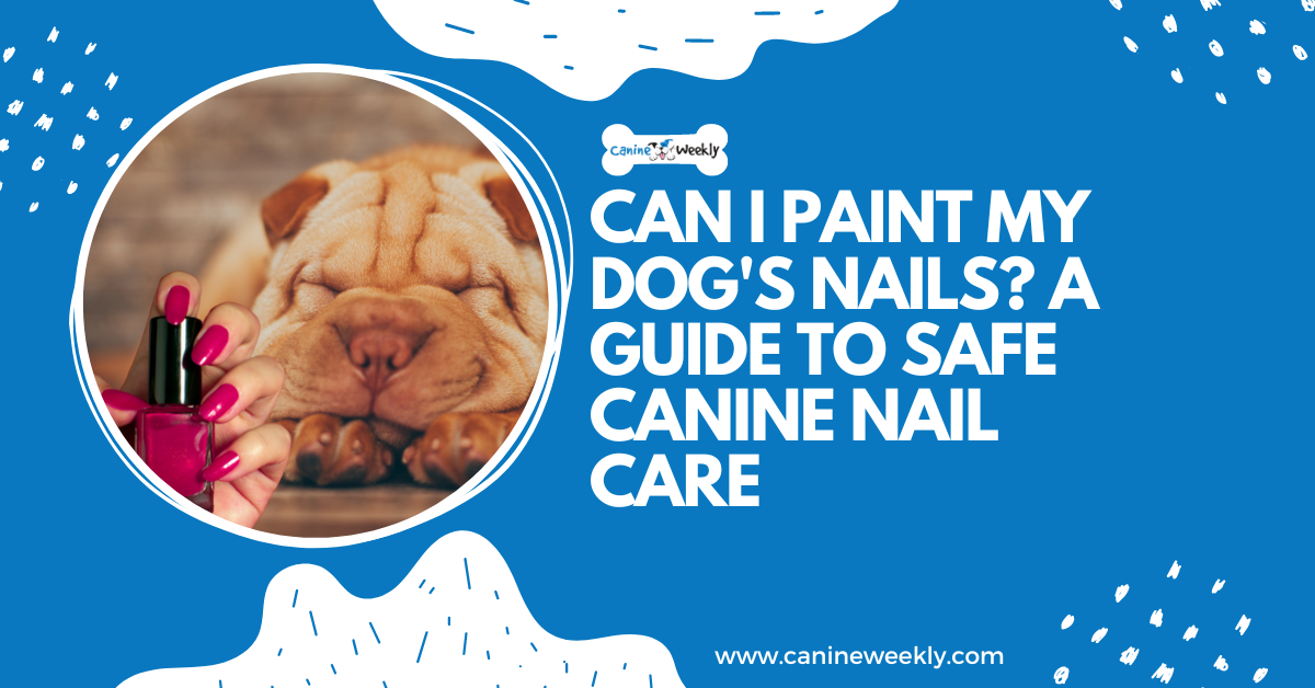 Painting my cheap dog's nails