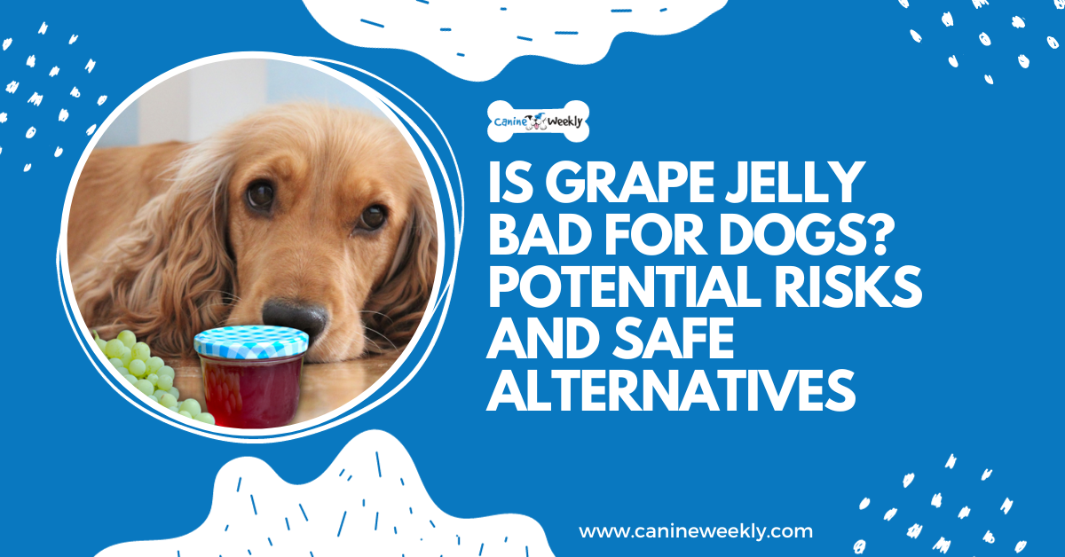 Is grape jelly harmful to dogs?Risks and Safe Alternatives