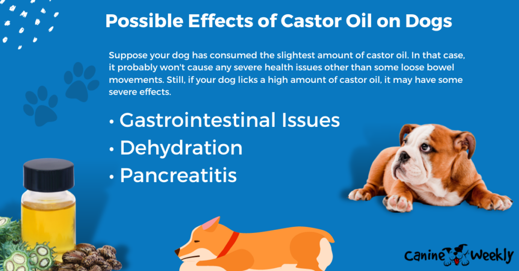 Possible Effects of Castor Oil on Dogs