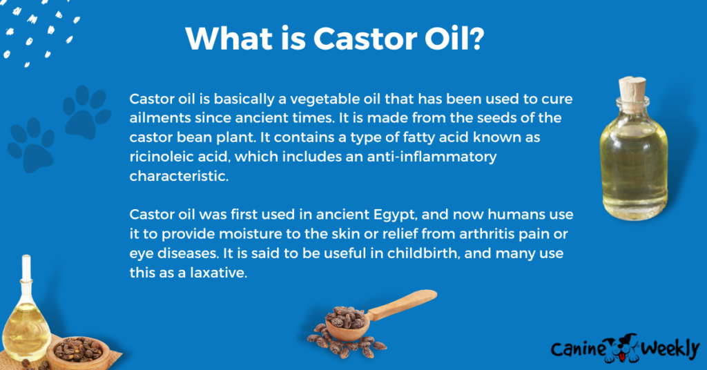 What is Castor Oil