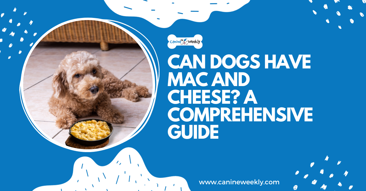 Can dogs eat macaroni and cheese?Comprehensive guide
